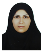 دکتر فاطمه درودیان استادیار دانشکده علوم ریاضی دانشگاه تربیت مدرس دکتر فاطمه درودیان استادیار دانشکده علوم ریاضی دانشگاه تربیت مدرس