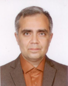 دکتر پائیز عزمی استاد دانشکده مهندسی برق و کامپیوتر دانشگاه تربیت مدرس دکتر پائیز عزمی استاد دانشکده مهندسی برق و کامپیوتر دانشگاه تربیت مدرس