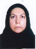 دکتر فیروزه عزیزی استادیار مرکز مطالعات مدیریت و توسعه فناوری دانشگاه تربیت مدرس