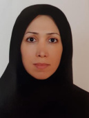 دکتر فاطمه السادات علوی اندراجمی استادیار دانشکده مهندسی مکانیک دانشگاه تربیت مدرس