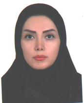 مهندس افسانه رضایی دانشجوی دکتری مهندس افسانه رضایی دانشجوی دکتری