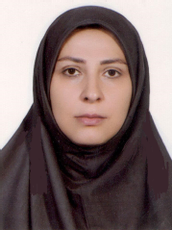دکتر سیما محمد نژاد استادیار دانشکده فنی و مهندسی دانشگاه تربیت مدرس دکتر سیما محمد نژاد استادیار دانشکده فنی و مهندسی دانشگاه تربیت مدرس