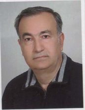 پروفسور محسن کهرم 