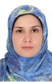 دکتر مهدیه ملانوری شمسی دانشیار دانشکده علوم انسانی دانشگاه تربیت مدرس