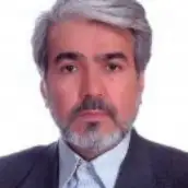 دکتر محمدمهدی اخوی یان استادیار دانشگاه علم و فرهنگ