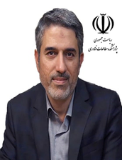 دکتر سید حبیب الله طباطبائیان دکتر سید حبیب الله طباطبائیان