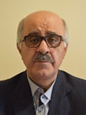 دکتر جواد نیستانی استاد دانشکده علوم انسانی دانشگاه تربیت مدرس