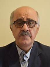 دکتر جواد نیستانی استاد دانشکده علوم انسانی دانشگاه تربیت مدرس دکتر جواد نیستانی استاد دانشکده علوم انسانی دانشگاه تربیت مدرس