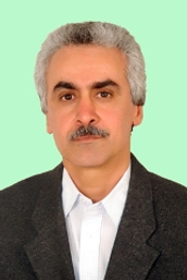 دکتر حسن ثقفیان دکتر حسن ثقفیان