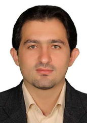 دکتر سعید حمزه دانشیار دانشگاه تهران دکتر سعید حمزه دانشیار دانشگاه تهران