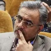 پروفسور محمد هادی امین ناجی استاد