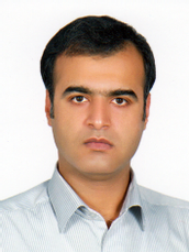 دکتر شاهرخ اسماعیلی دانشیار دانشگاه کردستان