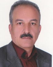 دکتر غلامرضا شمس استادیار مهندسی عمران دانشگاه شهرکرد