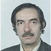 دکتر فرخ حجت کاشانی استاد، دانشکده برق و الکترونیک، دانشگاه علم و صنعت ایران، تهران، ایران دکتر فرخ حجت کاشانی استاد، دانشکده برق و الکترونیک، دانشگاه علم و صنعت ایران، تهران، ایران