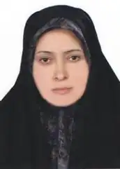 دکتر ناهید پوررستمی استادیار دانشکده مطالعات جهان دانشگاه تهران