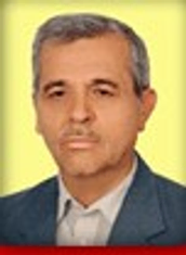 دکتر شمس الدین میردامادی 