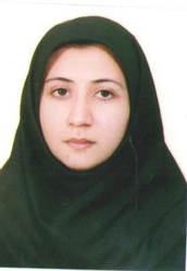 دکتر فاطمه تلخابی گروه حسابداری، دانشگاه طلوع مهر، قم، ایران دکتر فاطمه تلخابی گروه حسابداری، دانشگاه طلوع مهر، قم، ایران