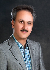 دکتر ابراهیم شعاریان ستاری استاد، گروه حقوق تجارت بین الملل دانشگاه تبریز