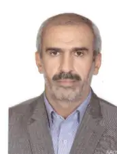دکتر حسین زارع استاد- دانشگاه پیام نور
