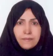 دکتر ام السلمه بابایی دانشیار - دانشگاه پیام نور دکتر ام السلمه بابایی دانشیار - دانشگاه پیام نور