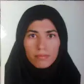 دکتر سمیه آقابابایی گروه زبان و ادبیات فارسی دانشگاه علامه طباطبایی دکتر سمیه آقابابایی گروه زبان و ادبیات فارسی دانشگاه علامه طباطبایی