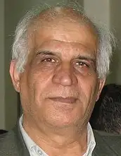 دکتر غلامحسین زرگری نژاد استاد تاریخ ،دانشگاه تهران