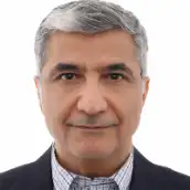 دکتر مجتبی رجب بیگی دانشیار، پژوهشکده مطالعات راهبردی و فناوری، موسسه مطالعات بین المللی انرژی