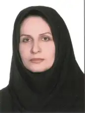 دکتر ناهید سجادیان استاد جغرافیا و برنامه ریزی شهری دانشگاه شهید چمران اهواز دکتر ناهید سجادیان استاد جغرافیا و برنامه ریزی شهری دانشگاه شهید چمران اهواز