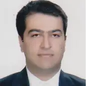 دکتر محمدامیر نجفقلی پور عضو هیات علمی دانشگاه صنعتی شیراز
