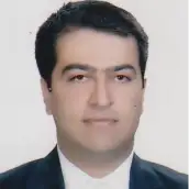 دکتر محمدامیر نجفقلی پور عضو هیات علمی دانشگاه صنعتی شیراز دکتر محمدامیر نجفقلی پور عضو هیات علمی دانشگاه صنعتی شیراز