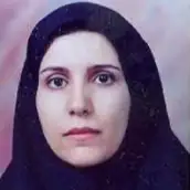 دکتر رویا امجدی فرد دانشیار گروه آموزشی مهندسی برق و کامپیوتر دانشکده فنی و مهندسی دانشگاه خوارزمی دکتر رویا امجدی فرد دانشیار گروه آموزشی مهندسی برق و کامپیوتر دانشکده فنی و مهندسی دانشگاه خوارزمی