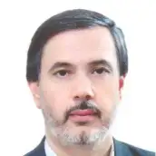 دکتر هادی وکیلی دانشیار گروه تاریخ دانشگاه فردوسی دکتر هادی وکیلی دانشیار گروه تاریخ دانشگاه فردوسی