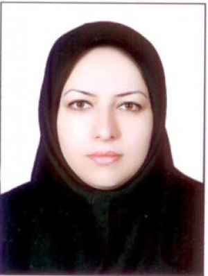 دکتر شیرین محمدخان استادیار دانشگاه تهران دانشکده جغرافیا دکتر شیرین محمدخان استادیار دانشگاه تهران دانشکده جغرافیا