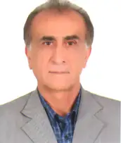 دکتر حمید محمودآبادی استادیار بازنشسته حسابداری دانشگاه شیراز