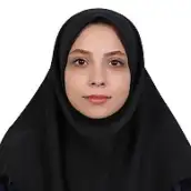 مهنور روحی نیا دانشجوی دکترا، دانشکده مهندسی عمران، دانشگاه تهران مهنور روحی نیا دانشجوی دکترا، دانشکده مهندسی عمران، دانشگاه تهران