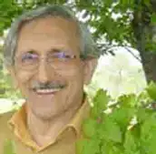 دکتر تیمور رستمی Professor, Department of Forestry, Faculty of Natural Resources, University of Guilan, Guilan, Iran. دکتر تیمور رستمی Professor, Department of Forestry, Faculty of Natural Resources, University of Guilan, Guilan, Iran.