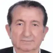 دکتر ناصرعلی منصوریان دانشیار دانشگاه صنعتی سجاد دکتر ناصرعلی منصوریان دانشیار دانشگاه صنعتی سجاد