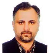 دکتر سیدعلیرضا هوشی السادات دکتر سیدعلیرضا هوشی السادات