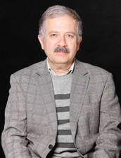 دکتر سید حسین امیرشاهی 